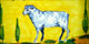 Animali (ANM)