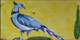 Animali (ANM)