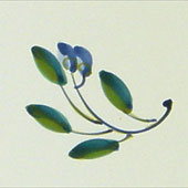 Country Olives