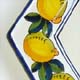 Anna Lemons su bianco Anna Lemons su bianco