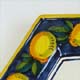 Anna Lemons su blu Anna Lemons su blu