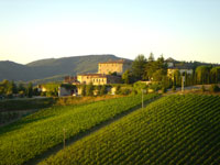 Chianti landscape