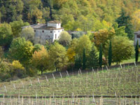 Chianti landscape