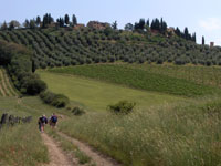 Chianti landscape