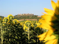 Monteriggioni
